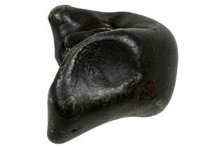 Sikhote-Alin Meteorites For Sale