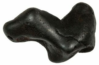 Fusion Crusted Sikhote-Alin Iron Meteorite ( g) - Russia #334558