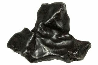 Fusion Crusted Sikhote-Alin Iron Meteorite ( g) - Russia #334566