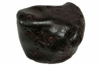 Fusion Crusted Sikhote-Alin Iron Meteorite ( g) - Russia #334574