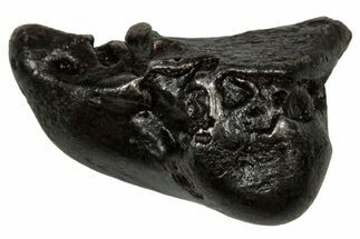 Fusion Crusted Sikhote-Alin Iron Meteorite ( g) - Russia #334579