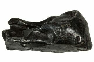 Fusion Crusted Sikhote-Alin Iron Meteorite ( g) - Russia #334584