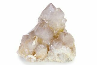 Lustrous Cactus Quartz Crystal Cluster - South Africa #336759
