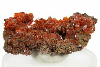 Fiery Red Wulfenite Crystal Cluster - Kuruktag Mountains, China #337086