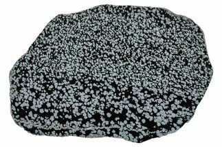 Polished Snowflake Obsidian Slab - Wyoming #336971