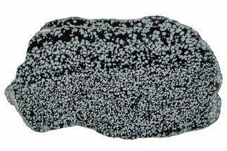 Polished Snowflake Obsidian Slab - Wyoming #336974