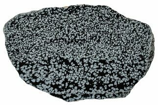 Polished Snowflake Obsidian Slab - Wyoming #336978