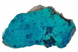 Vibrant Chrysocolla and Shattuckite Section - Mexico #337050