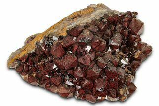 Thunder Bay Smoky Quartz Cluster w/ Hematite Inclusions - Canada #337160