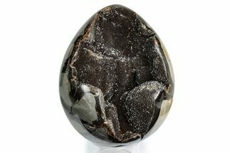 Septarian Dragon Egg Geode - Sparkly Black Crystals #337234