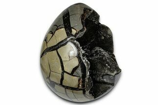 Free-Standing, Polished Septarian Geode - Sparkling Crystals #337237