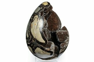 Septarian Dragon Egg Geode - Black Crystals #337290