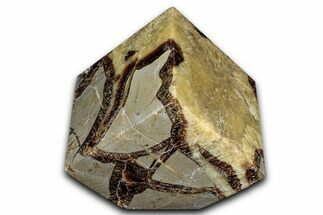 Wide Polished Septarian Cube - Madagascar #337274