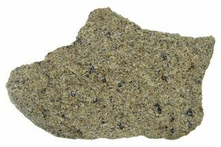 Martian Shergottite Meteorite ( g) Slice - NWA #337588