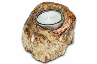 Polished Petrified Wood Candle Holder - Madagascar #337582