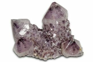 Deep-Purple Cactus Amethyst Crystal Cluster - South Africa #337604