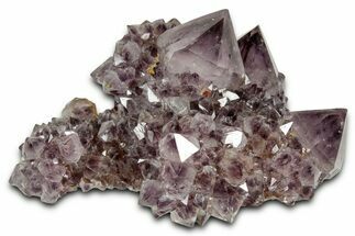 Deep-Purple Cactus Amethyst Crystal Cluster - South Africa #337606