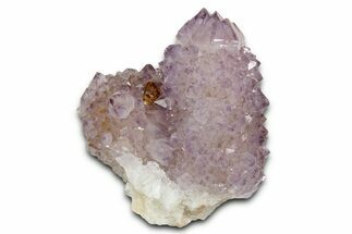 Deep-Purple Cactus Amethyst Crystal Cluster - South Africa #337612