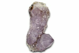 Sparkling Cactus Amethyst Crystal Cluster - South Africa #337614