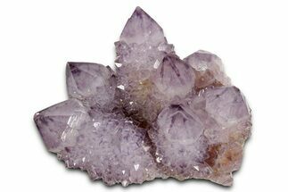 Deep-Purple Cactus Amethyst Crystal Cluster - South Africa #337616