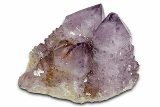 Sparkling Cactus Amethyst Crystal Cluster - South Africa #337618