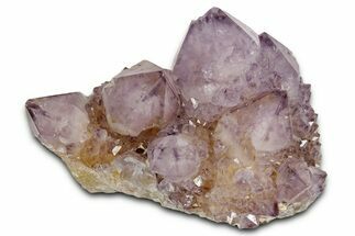 Sparkling Cactus Amethyst Crystal Cluster - South Africa #337620