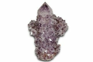 Deep-Purple Cactus Amethyst Crystal Cluster - South Africa #337622