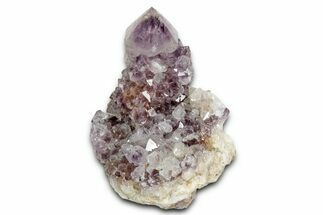Deep-Purple Cactus Amethyst Crystal Cluster - South Africa #337624
