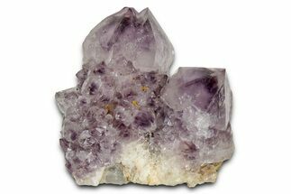 Deep-Purple Cactus Amethyst Crystal Cluster - South Africa #337634