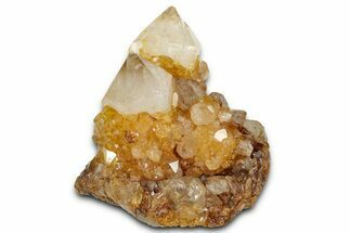 Sunshine Cactus Quartz Crystal Cluster - South Africa #337644