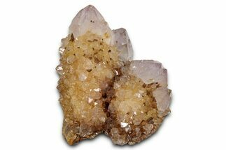 Sunshine Cactus Quartz/Amethyst Crystal Cluster - South Africa #337660