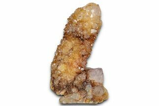 Sunshine Cactus Quartz/Amethyst Crystal Cluster - South Africa #337661