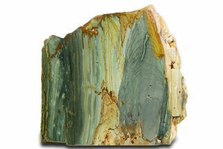 Free-Standing, Gary Green Jasper (Larsonite) Bog Wood - Oregon #334849