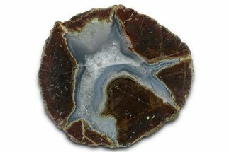 Colorful Polished Thunderegg Half - Nevada #337755