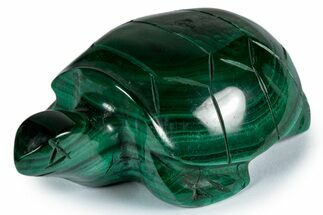 Flowery, Malachite Turtle Carving - DR Congo #337821