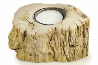 Polished Petrified Wood Candle Holder - Madagascar #337906