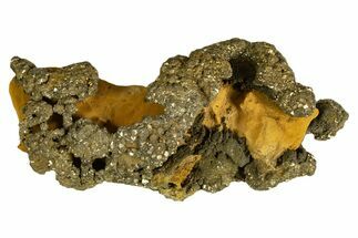 Golden Pyrite on Limonite Clay - Pakistan #337950