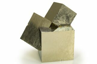 Shiny, Natural Pyrite Cube Cluster - Navajun, Spain #337900