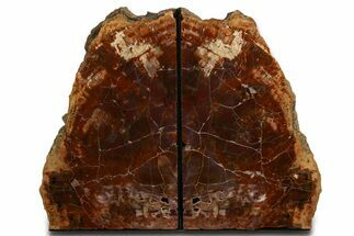 Tall Arizona Petrified Wood Bookends - Red and Purple #338262