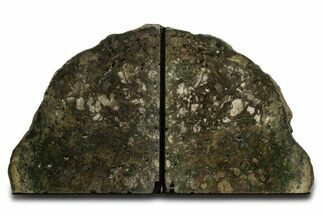Green Jasper Replaced Petrified Wood Bookends - Oregon #338269