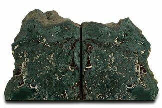 Green Jasper Replaced Petrified Wood Bookends - Oregon #338270