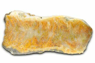 Polished Bumblebee Jasper Slab - Indonesia #338311