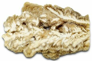 Polished Barite Section - Lubin Mine, Poland #335185