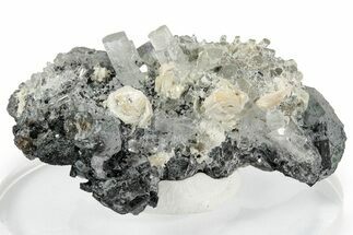 Lustrous Aquamarine on Schorl and Fluorite Crystals - Namibia #338059