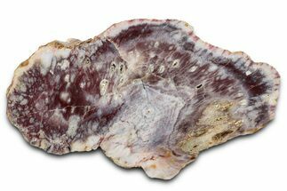 Polished Colorful Agate Slab #338148