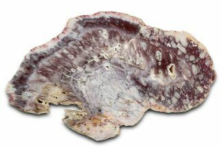 Polished Colorful Agate Slab #338151