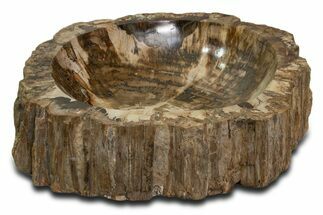 Polished Petrified Wood Bowl ( / lbs) - Madagascar #339301
