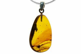 Polished Baltic Amber Pendant (Necklace) - Flies & Beetle! #339472