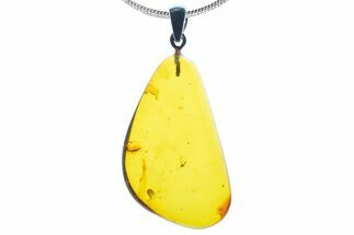 Polished Baltic Amber Pendant (Necklace) - Contains Fly! #339479