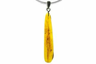 Polished Baltic Amber Pendant (Necklace) - Spider & Flies! #339483
